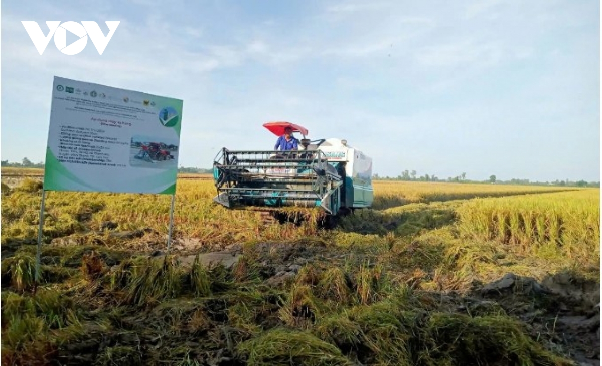 Japan's role in driving digital and green transformation in Mekong Delta